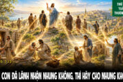 11.06.2026 – Thứ Năm Tuần X Thường Niên