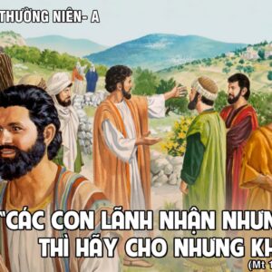 CÁC BÀI SUY NIỆM LỜI CHÚA CHÚA NHẬT XI THƯỜNG NIÊN-A