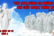CÁC BÀI SUY NIỆM LỜI CHÚA CHÚA NHẬT XII THƯỜNG NIÊN- A