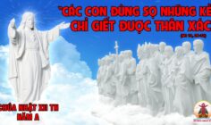 CÁC BÀI SUY NIỆM LỜI CHÚA CHÚA NHẬT XII THƯỜNG NIÊN- A