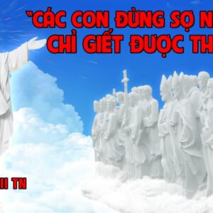 CÁC BÀI SUY NIỆM LỜI CHÚA CHÚA NHẬT XII THƯỜNG NIÊN- A