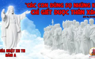 CÁC BÀI SUY NIỆM LỜI CHÚA CHÚA NHẬT XII THƯỜNG NIÊN- A