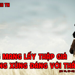 CÁC BÀI SUY NIỆM LỜI CHÚA CHÚA NHẬT XIII THƯỜNG NIÊN- A
