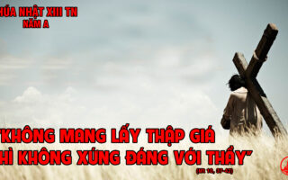 CÁC BÀI SUY NIỆM LỜI CHÚA CHÚA NHẬT XIII THƯỜNG NIÊN- A