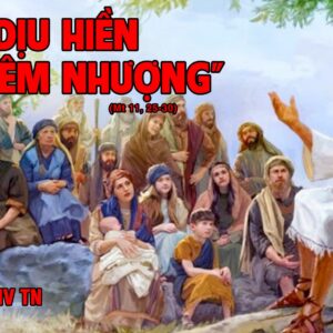 CÁC BÀI SUY NIỆM LỜI CHÚA CHÚA NHẬT XIV THƯỜNG NIÊN- A
