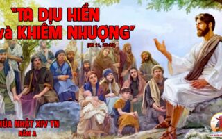 CÁC BÀI SUY NIỆM LỜI CHÚA CHÚA NHẬT XIV THƯỜNG NIÊN- A