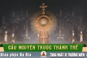 Cầu nguyện trước Thánh Thể- Ngày 14.06.2026 – Chúa Nhật XI Thường niên – Mt 9,36-10,8