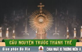 Cầu nguyện trước Thánh Thể- Ngày 14.06.2026 – Chúa Nhật XI Thường niên – Mt 9,36-10,8