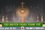 Cầu nguyện trước Thánh Thể- Ngày 14.06.2026 – Chúa Nhật XI Thường niên – Mt 9,36-10,8