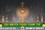 Cầu nguyện trước Thánh Thể- Ngày 21.06.2026 – Chúa Nhật XII Thường niên – Mt 10,26-33