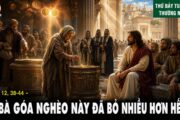 06.06.2026 – Thứ Bảy Tuần IX Thường Niên