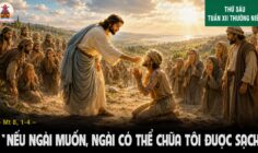 26.06.2026 – Thứ Sáu Tuần XII Thường Niên