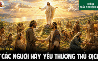 16.06.2026 – Thứ Ba Tuần XI Thường Niên