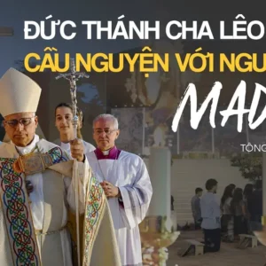[Tông du Tây Ban Nha] Đức Thánh Cha chủ sự giờ canh thức cầu nguyện với giới trẻ tại Madrid