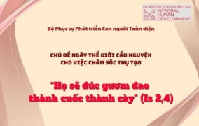 “Họ sẽ đúc gươm đao thành cuốc thành cày” - Chủ đề ngày Thế giới Cầu nguyện cho việc chăm sóc thụ tạo