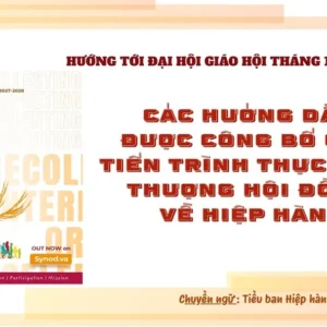 Hướng tới Đại hội Giáo hội tháng 10 năm 2028 - Các hướng dẫn được công bố cho tiến trình thực hiện Thượng Hội đồng về Hiệp hành