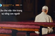 Ý cầu nguyện của Đức Thánh Cha tháng 7/2026: Cầu cho việc tôn trọng sự sống con người
