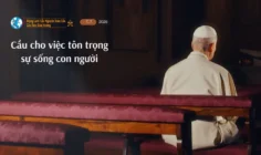 Ý cầu nguyện của Đức Thánh Cha tháng 7/2026: Cầu cho việc tôn trọng sự sống con người