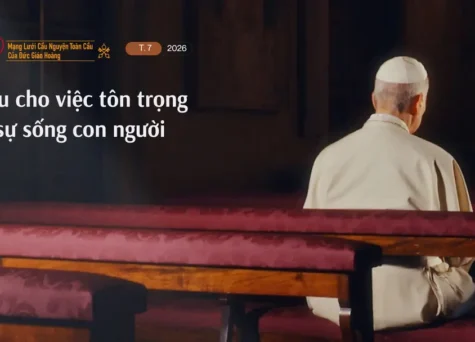 Ý cầu nguyện của Đức Thánh Cha tháng 7/2026: Cầu cho việc tôn trọng sự sống con người