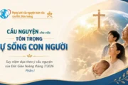 Cầu nguyện cho việc tôn trọng sự sống con người - Suy niệm dựa theo ý cầu nguyện của Đức Giáo hoàng tháng 7/2026 Phần I