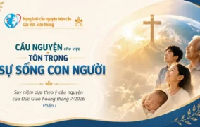 Cầu nguyện cho việc tôn trọng sự sống con người - Suy niệm dựa theo ý cầu nguyện của Đức Giáo hoàng tháng 7/2026 Phần I