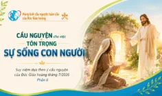 Cầu nguyện cho việc tôn trọng sự sống con người - Suy niệm dựa theo ý cầu nguyện của Đức Giáo hoàng tháng 7/2026 Phần II