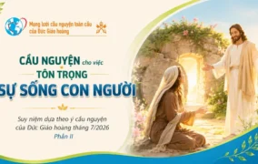 Cầu nguyện cho việc tôn trọng sự sống con người - Suy niệm dựa theo ý cầu nguyện của Đức Giáo hoàng tháng 7/2026 Phần II