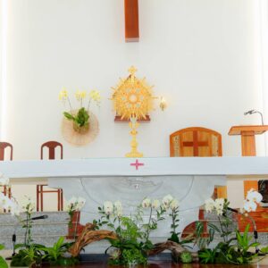 Gx. Hồ Tràm: Thánh lễ khai mạc ngày Chầu Thánh Thể thay giáo phận