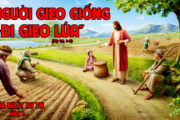 CÁC BÀI SUY NIỆM LỜI CHÚA CHÚA NHẬT XV THƯỜNG NIÊN- A
