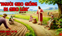 CÁC BÀI SUY NIỆM LỜI CHÚA CHÚA NHẬT XV THƯỜNG NIÊN- A