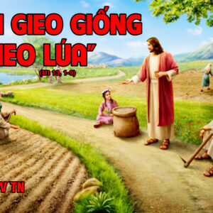 CÁC BÀI SUY NIỆM LỜI CHÚA CHÚA NHẬT XV THƯỜNG NIÊN- A