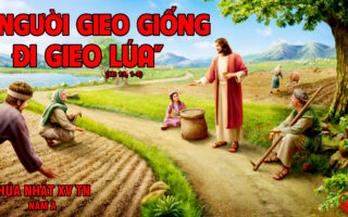 CÁC BÀI SUY NIỆM LỜI CHÚA CHÚA NHẬT XV THƯỜNG NIÊN- A