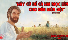 CÁC BÀI SUY NIỆM LỜI CHÚA CHÚA NHẬT XVI THƯỜNG NIÊN- A