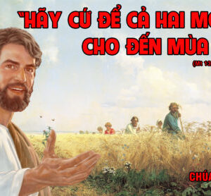 CÁC BÀI SUY NIỆM LỜI CHÚA CHÚA NHẬT XVI THƯỜNG NIÊN- A