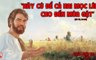 CÁC BÀI SUY NIỆM LỜI CHÚA CHÚA NHẬT XVI THƯỜNG NIÊN- A