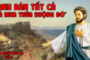 CÁC BÀI SUY NIỆM LỜI CHÚA CHÚA NHẬT XVII THƯỜNG NIÊN- A
