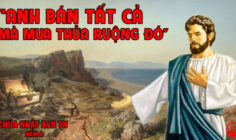 CÁC BÀI SUY NIỆM LỜI CHÚA CHÚA NHẬT XVII THƯỜNG NIÊN- A