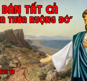 CÁC BÀI SUY NIỆM LỜI CHÚA CHÚA NHẬT XVII THƯỜNG NIÊN- A