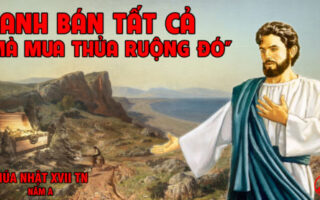 CÁC BÀI SUY NIỆM LỜI CHÚA CHÚA NHẬT XVII THƯỜNG NIÊN- A