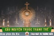 Cầu nguyện trước Thánh Thể- Ngày 12.07.2026 – Chúa Nhật XV Thường niên – Mt 13,1-23