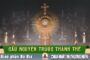 Cầu nguyện trước Thánh Thể- Ngày 12.07.2026 – Chúa Nhật XV Thường niên – Mt 13,1-23
