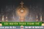 Cầu nguyện trước Thánh Thể- Ngày 19.07.2026 – Chúa Nhật XVI Thường niên – Mt 13,24-43