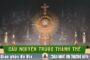 Cầu nguyện trước Thánh Thể- Ngày 05.07.2026 – Chúa Nhật XIV Thường niên – Mt 11,25-30