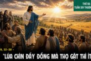 07.07.2026 – Thứ Ba Tuần XIV Thường Niên