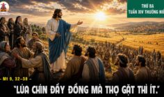 07.07.2026 – Thứ Ba Tuần XIV Thường Niên