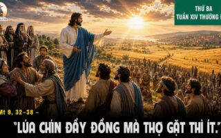 07.07.2026 – Thứ Ba Tuần XIV Thường Niên