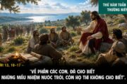23.07.2026 – Thứ Năm Tuần XVI Thường Niên