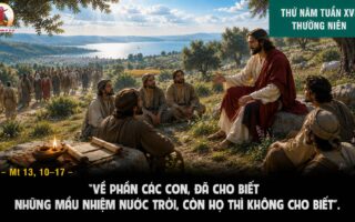 23.07.2026 – Thứ Năm Tuần XVI Thường Niên