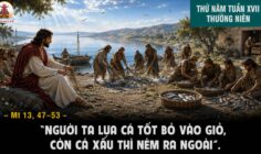 30.07.2026 – Thứ Năm Tuần XVII Thường Niên