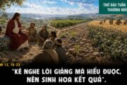 24.07.2026 – Thứ Sáu Tuần XVI Thường Niên